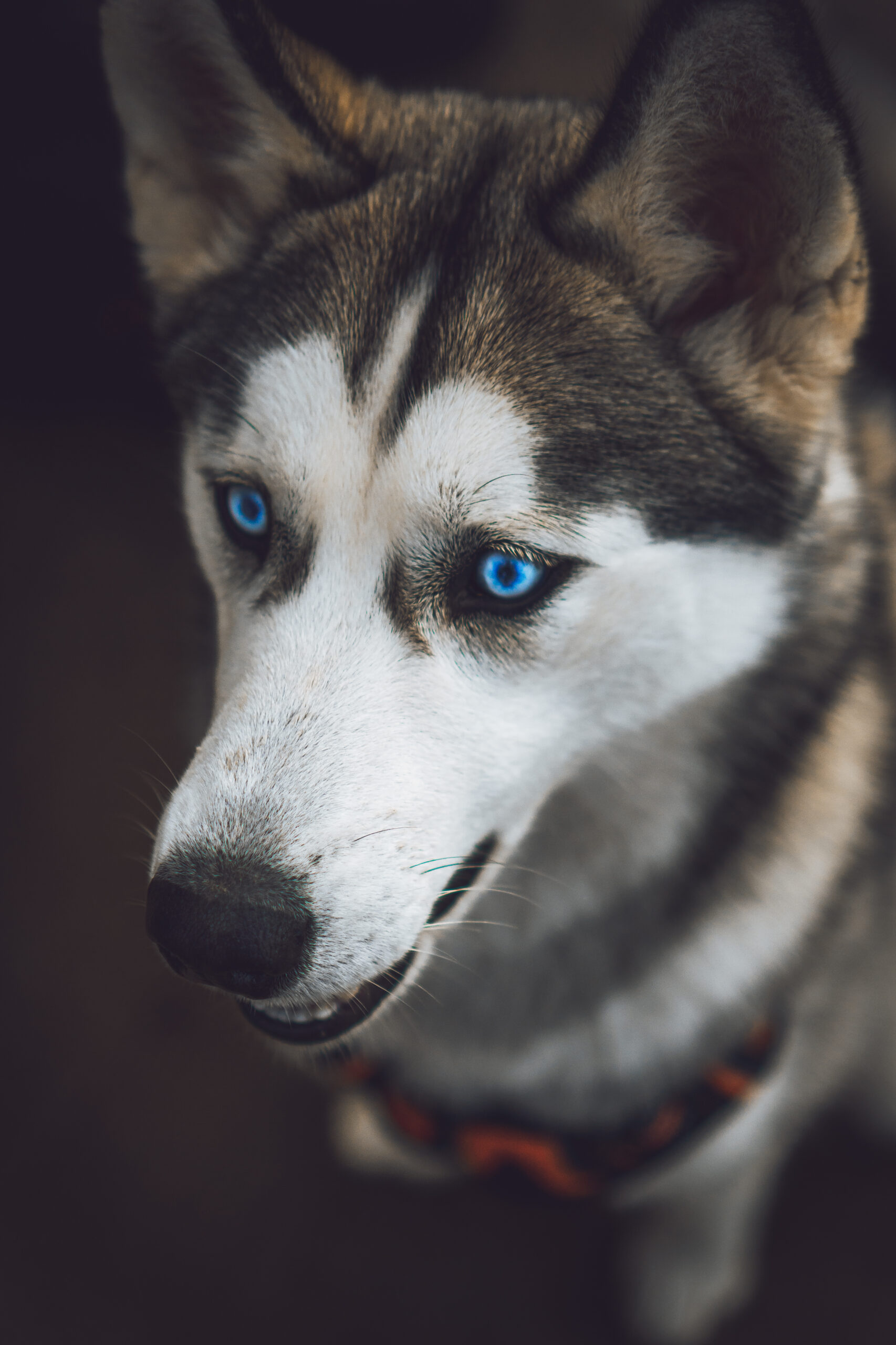— EF06DFEE-D6F8-4593-A922-C4D7A9666853